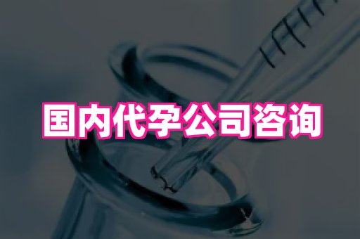 821孕网 3